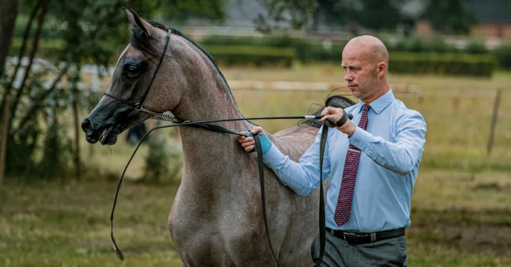 documentation complète sur la généalogie des chevaux arabes, comprenant l'historique, les pedigrees et les informations d'élevage pour passionnés et professionnels.