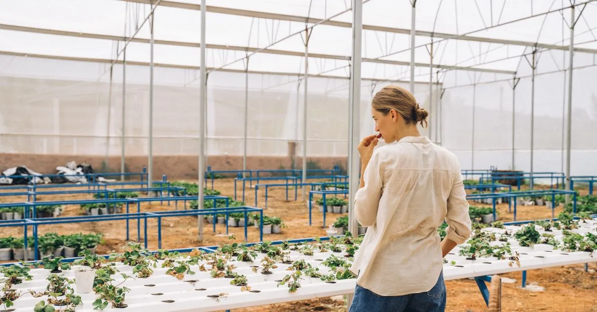 découvrez l'agriculture écologique innovante : des méthodes durables et respectueuses de l'environnement pour un avenir fertile et sain.