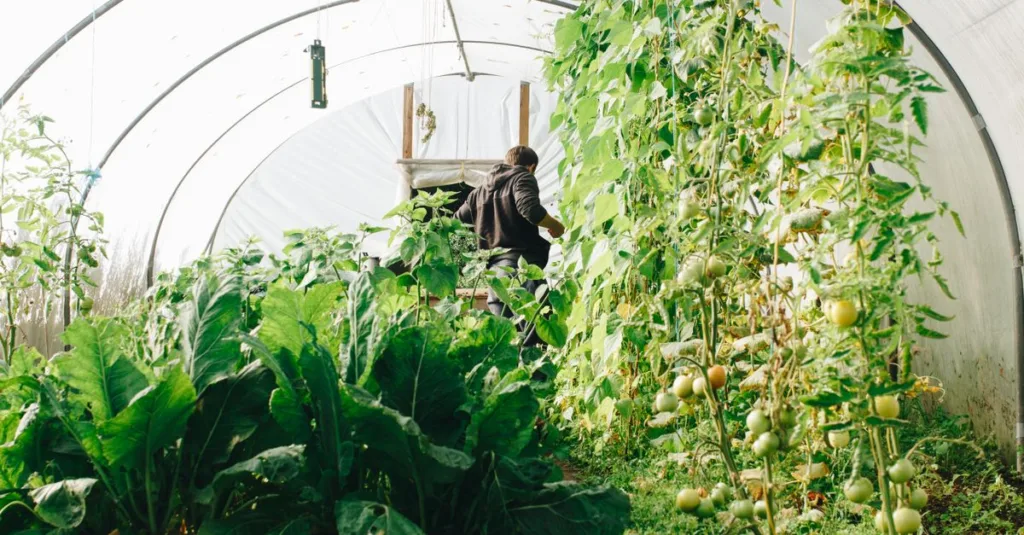 découvrez l'agriculture écologique innovante, alliant respect de l'environnement et techniques modernes pour une production durable et responsable.