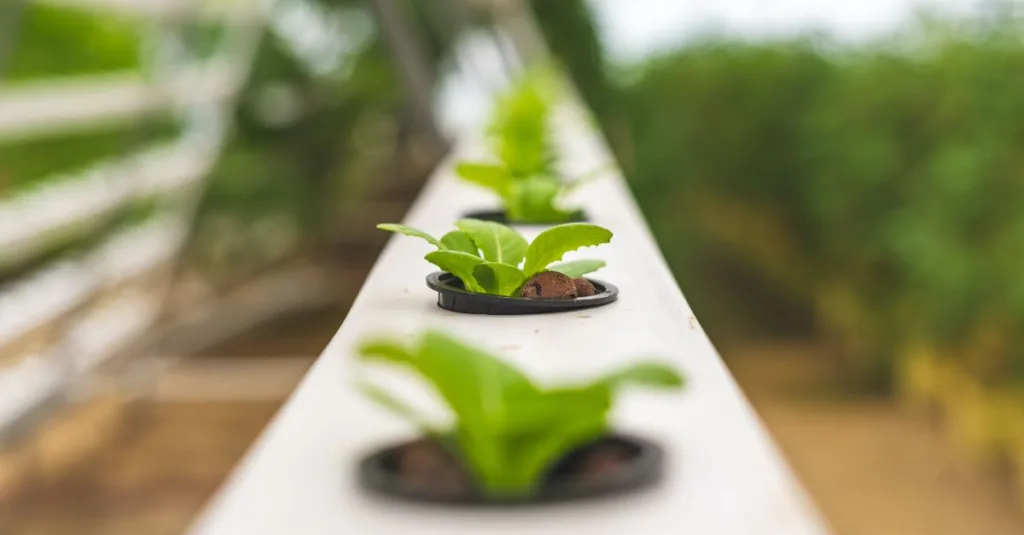 découvrez l'aquaponie, une méthode durable combinant pisciculture et culture hydroponique pour produire des aliments frais tout en préservant l'environnement.