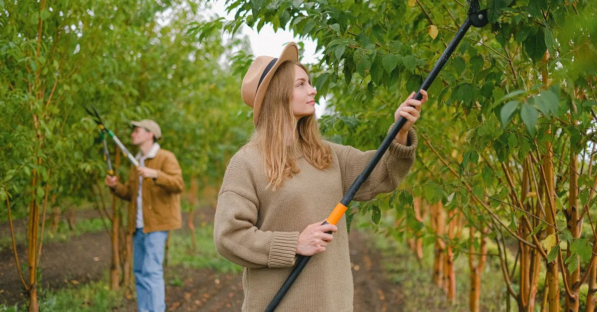 découvrez les techniques essentielles de la taille pour entretenir vos plantes et arbres, favoriser leur croissance et améliorer leur santé.