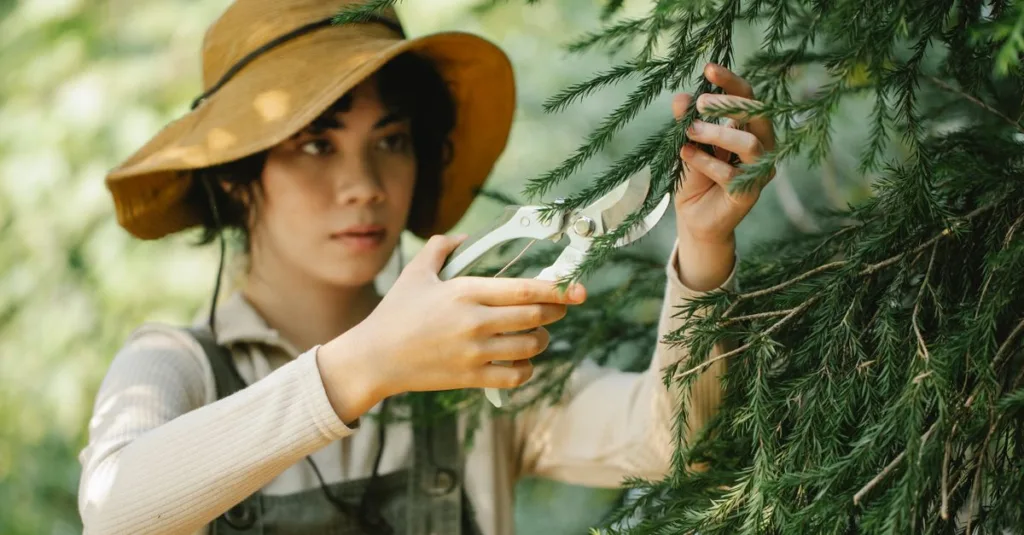 découvrez les meilleures techniques d'élagage pour entretenir vos arbres et arbustes, favoriser leur croissance et améliorer la santé de votre jardin.